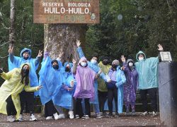 Tour a Huilo Huilo