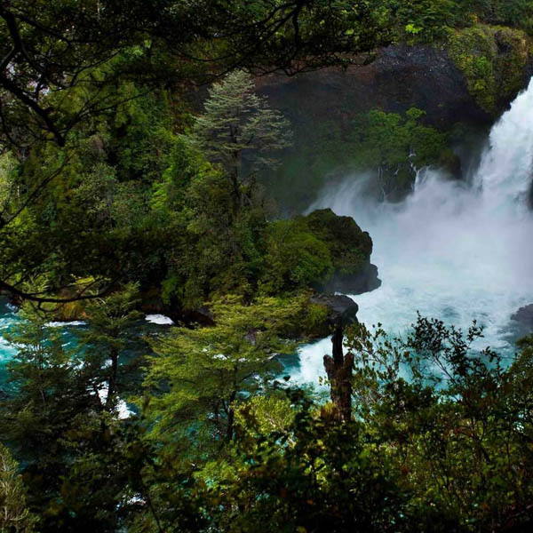 Tour a Huilo Huilo desde Villarrica, Lican Ray y Coñaripe