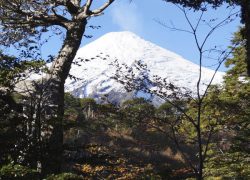 Trekking Parque Nacional Villarrica